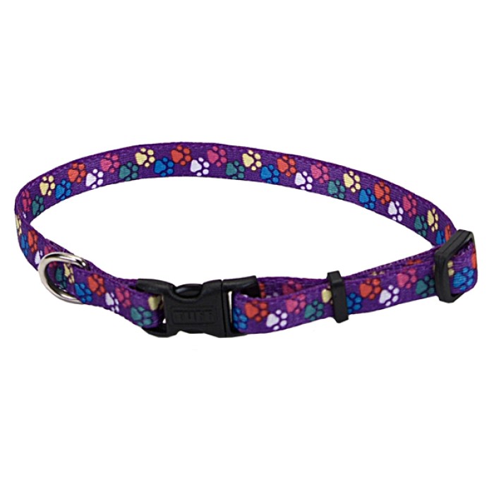 Coastal Pet Attire Style ошейник для собак, 2смХ35-50см , лапка.